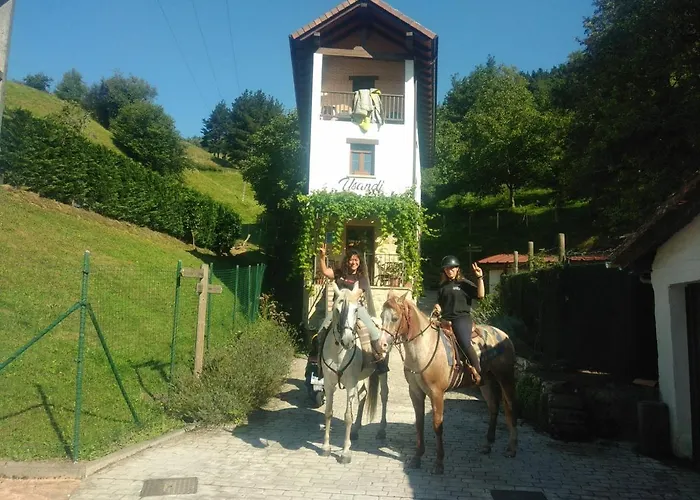 Usandi Auto Check-in *