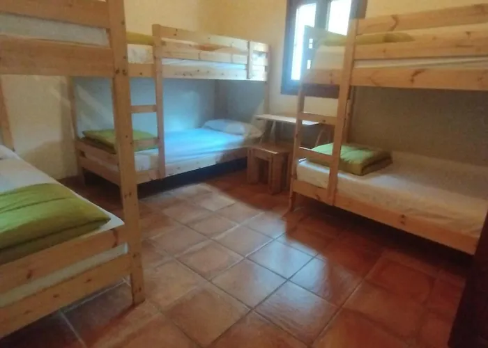 Usandi Auto Check-in *